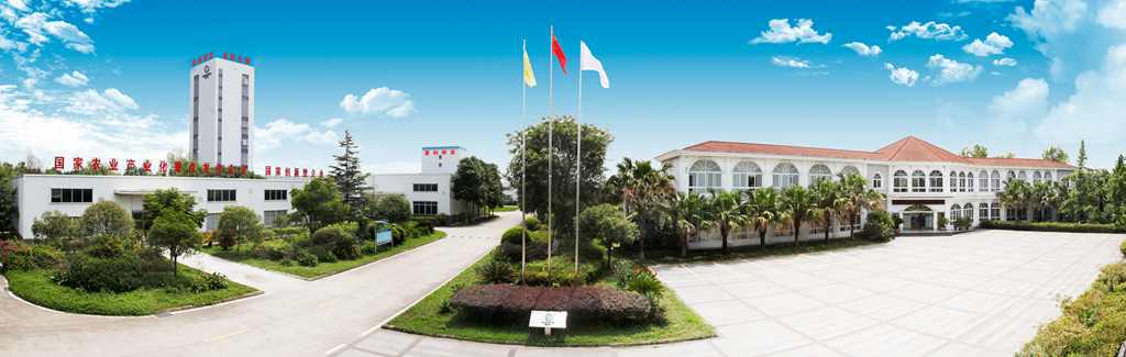 news03.jpg news03.jpg